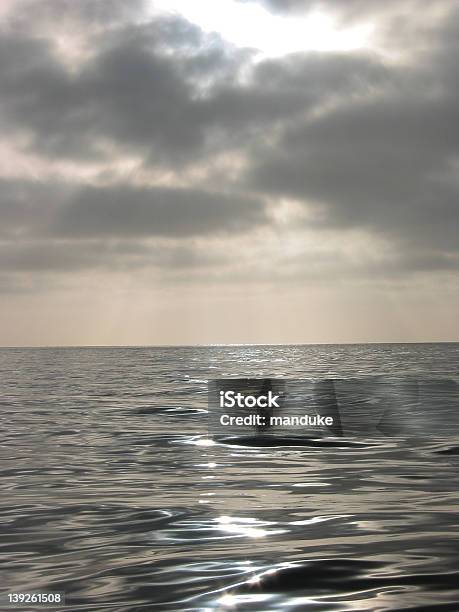플래시드 아침입니다 바다빛 0명에 대한 스톡 사진 및 기타 이미지 - 0명, 가벼운, 고독-개념