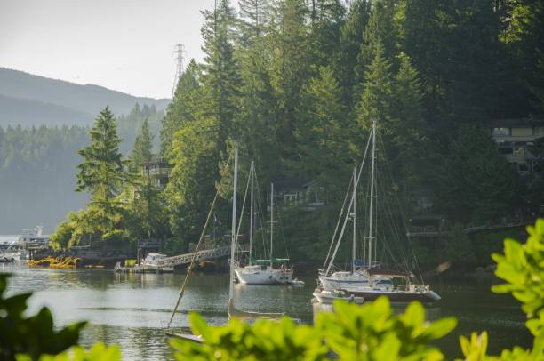 istock Sailboats at Deep Cove 1392620162