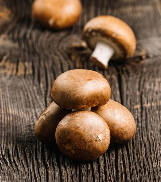 istock Several fresh champignons mushrooms 1392621129