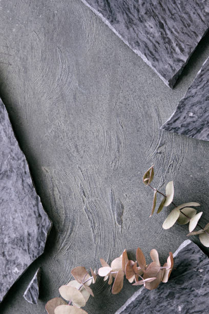 istock Layered flat stone background with broken pieces of granite plate, dry eucalyptus fragrant leaves 1392622106