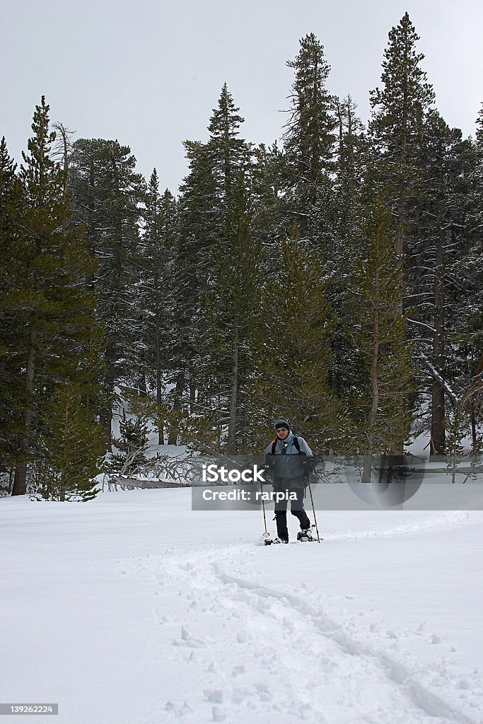 Camminate con le racchette da neve attraverso la valle - Foto stock royalty-free di Abbigliamento sportivo