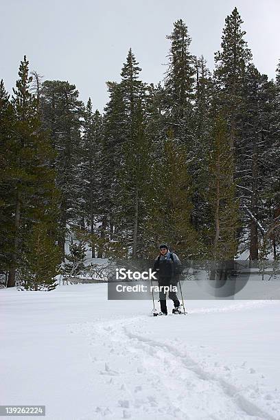 Camminate Con Le Racchette Da Neve Attraverso La Valle - Fotografie stock e altre immagini di Abbigliamento sportivo