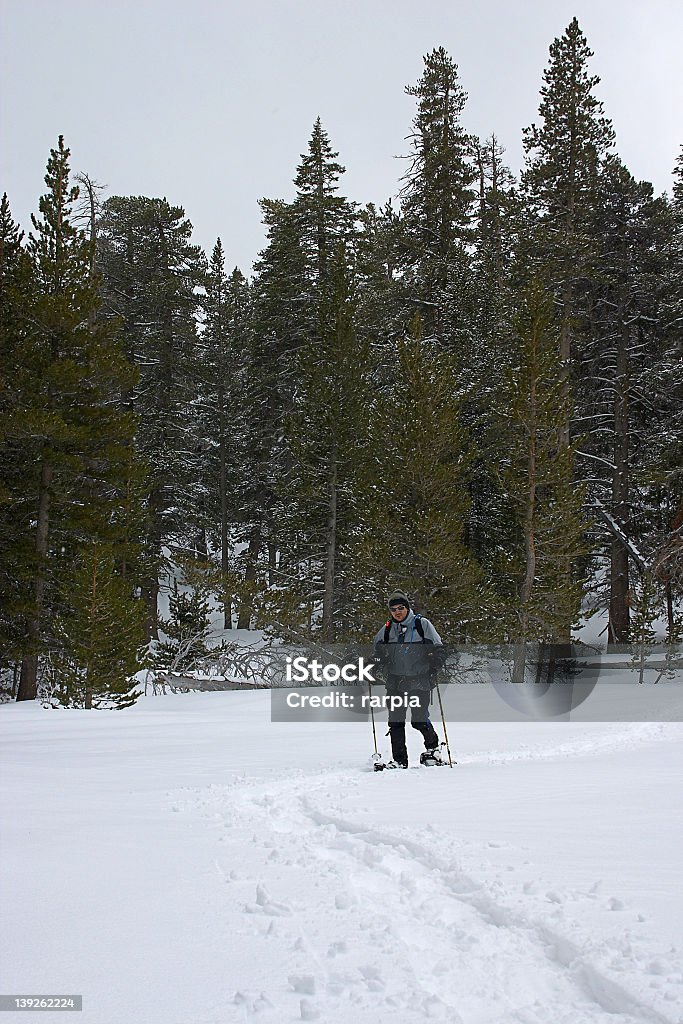 Snowshoeing até o vale - Foto de stock de Adulto royalty-free