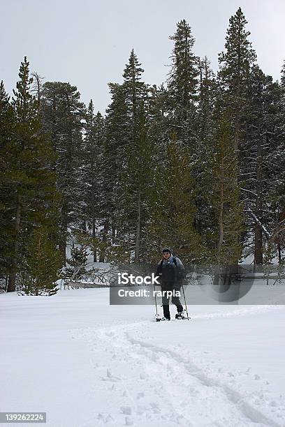 Foto de Snowshoeing Até O Vale e mais fotos de stock de Adulto - Adulto, Atleta, Bastão de Esqui