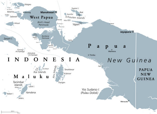 illustrazioni stock, clip art, cartoni animati e icone di tendenza di nuova guinea occidentale, papua, una parte dell'indonesia, mappa politica grigia - papua new guinea
