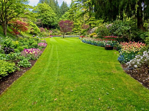 Spring garden Lush garden blooming in the springtime with tulips, flowerbeds and lawns hyacinth red stock pictures, royalty-free photos & images