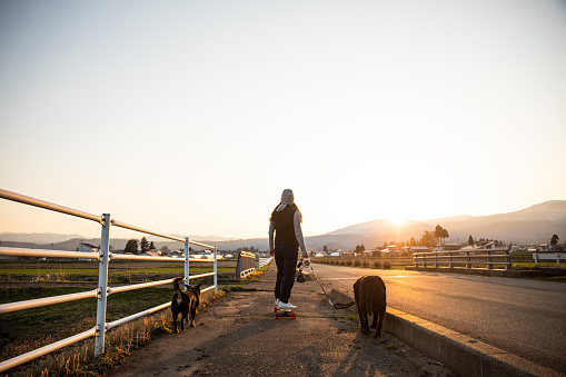 A mid age woman skateboarding along a quite country road with her dog at sunset.