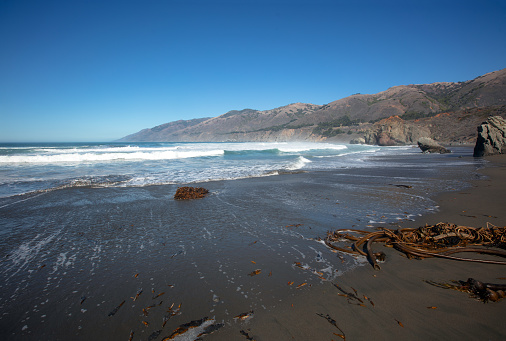 Kelp washing ashore at the original Ragged Point at Big Sur on the Central Coast of California United States
