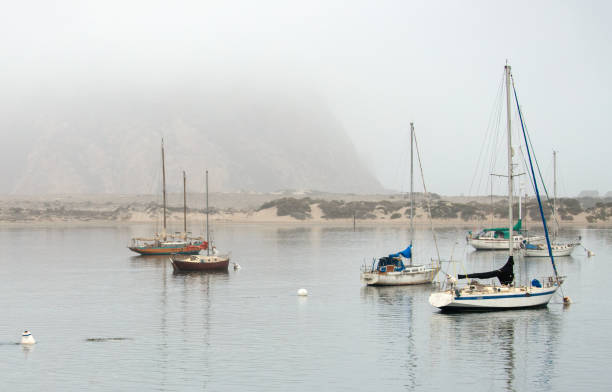 nebbia mattutina sul porto di morro bay sulla costa centrale della california stati uniti - inversion layer foto e immagini stock