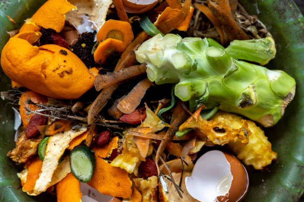 istock Cleaning vegetables and fruits for compost. Coffee pomace. Eggshell. Flat lay 1392644994
