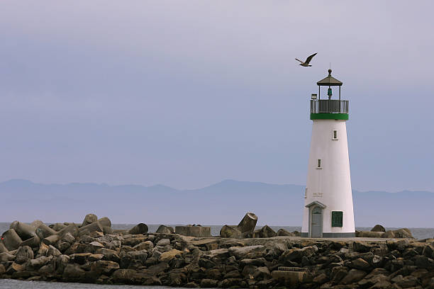 istock Breakwater lighthouse, Santa Cruz 139264506