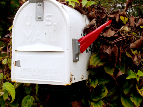 White Mailbox with surrounding leaves