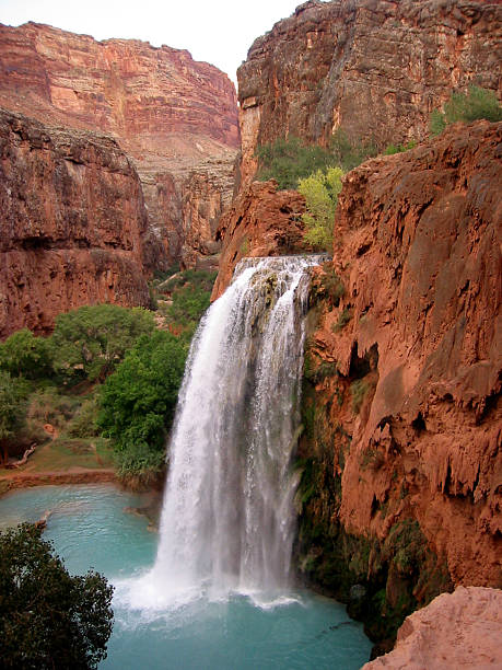 Blue waterfall - red canyon Beautiful waterfall spilling into a blue pool of water adjacent to the grand canyon. havasu falls stock pictures, royalty-free photos & images