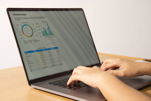 istock Business people use notebook programs in their offices to plan reports and analyze their income, expenses, and organizational growth 1392648610
