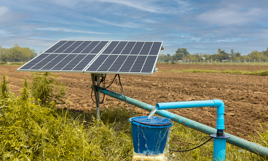Water pumps and solar panels in farm.