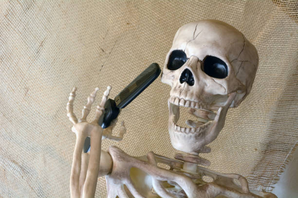 Funny Skeleton Stock Photos, Pictures & Royalty-Free Images - iStock