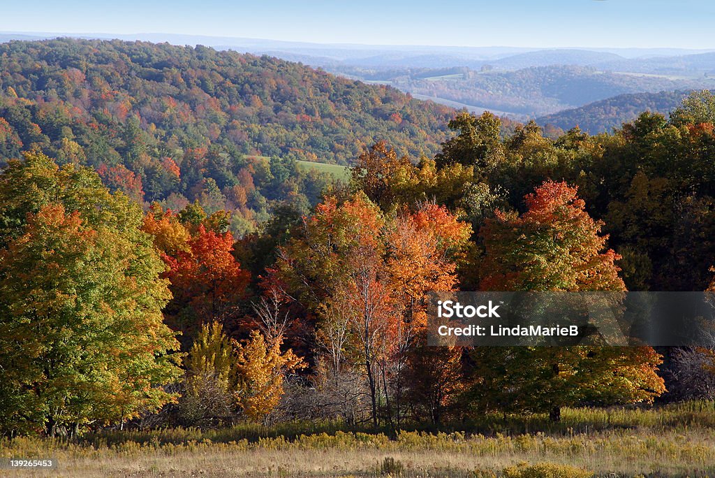 Cores do Outono - Foto de stock de Estado de Nova York royalty-free
