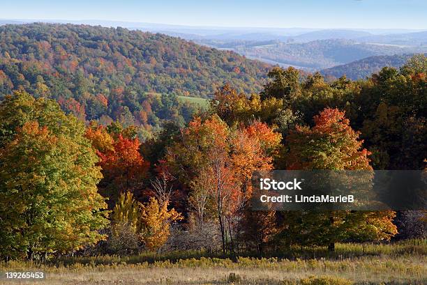 Foto de Cores Do Outono e mais fotos de stock de Estado de Nova York - Estado de Nova York, Sul, Sul dos Estados Unidos