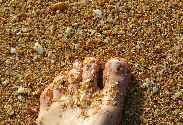 Foot covered with shells stock photo