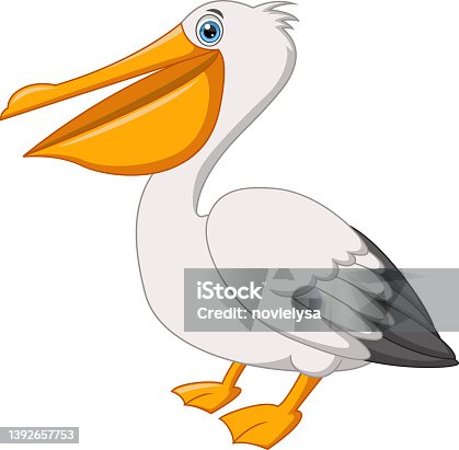 Free Clipart: Pelican | papapishu