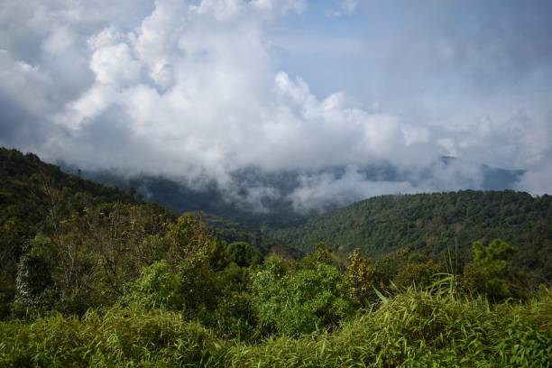 istock Doi Inthanon, The highest mountain in Thailand. 1392658435