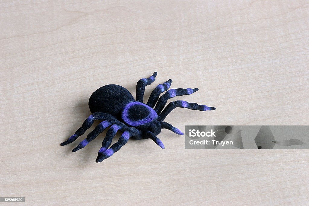 Preto roxo Aranha de Brinquedo - Royalty-free Aranha - Aracnídeo Foto de stock