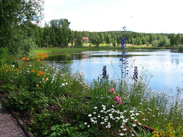 istock Country Side in Sweden 139266216