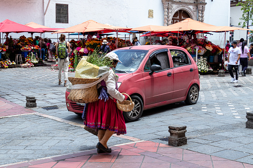Cuenca, Ecuador - March 30, 2022: Flower market in Cuenca. Woman in traditional dress for Azuay province carries big basket on her back