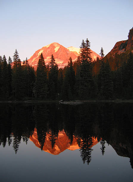 Mt. Rainier Reflected stock photo