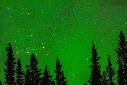 The Northern Lights create a beautiful display over the skies of Interior Alaska.