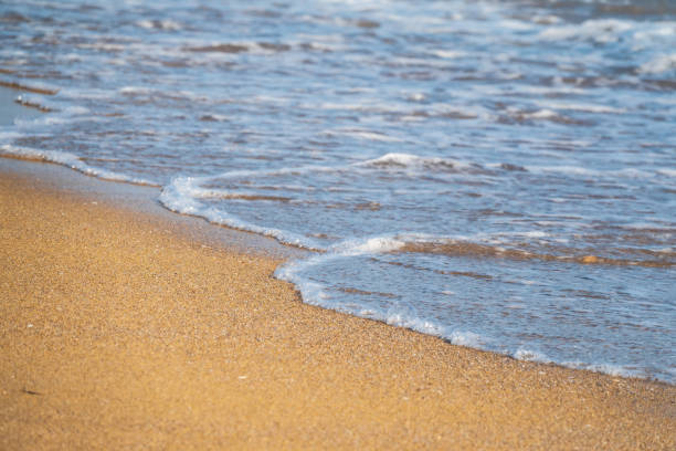 istock Soft wave of the sea on the sandy beach. 1392668893