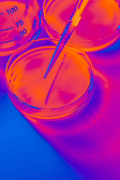 Petri dish and pipette and flask with bright colors