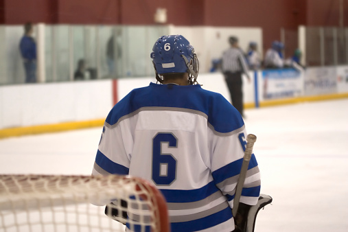 an ice hockey goalie in front of his net.
