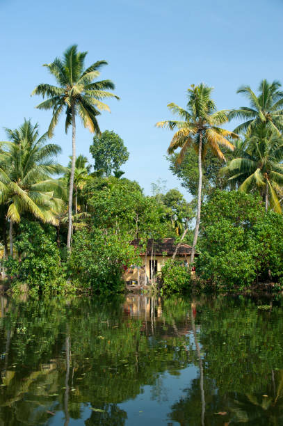 istock View of a backwater journey 1392675688