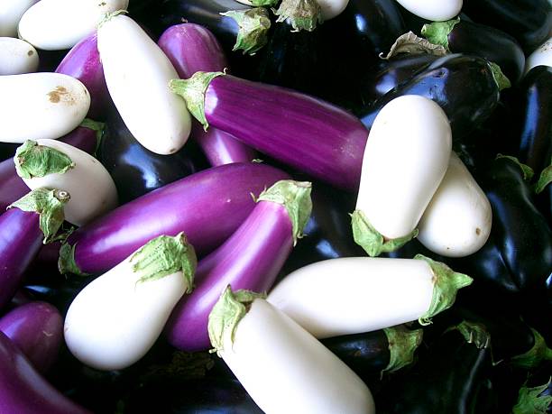 eggplants stock photo