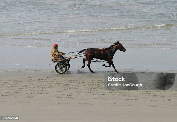 Экипаж Rider On The Sand — стоковые фотографии и другие картинки Новая Зеландия - Новая Зеландия, Спорт, Лошадь