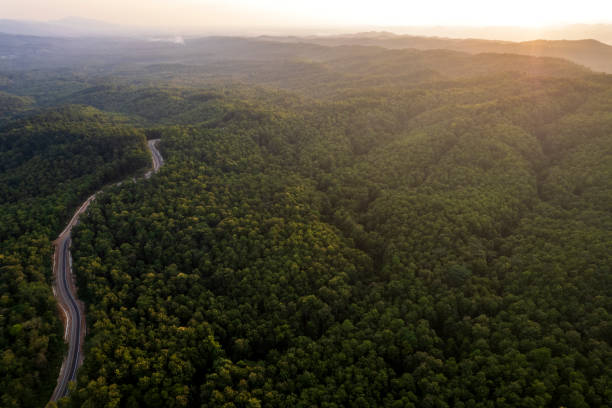 вид на сельскую местность, проходящая через зеленый форрест и гору - thailand forest outdoors winding road стоковые фото и изображения