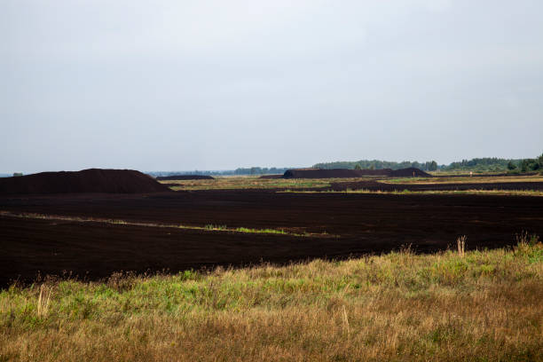 industrial area where black peat is mined
