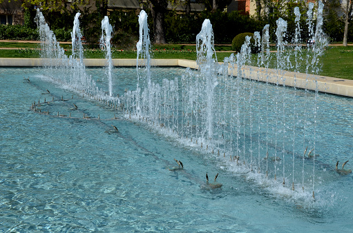 promenade in the park, artificial stream in the gutter. pump up sprays a series of sprays upward to the music responds and down waterfalls, fountains, splash. beige pond with blue chlorinated water, attraction, changeable, changeable