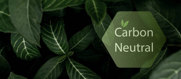 concepto neutro en carbono. co2 neutro en logotipo hexagonal sobre hojas verdes. día del medio ambiente y antecedentes del día de la tierra. ecológico. ecología medio ambiente y conservación. banner web horizontal neutro en carbono. - carbon dioxide environment leaf climate fotografías e imágenes de stock