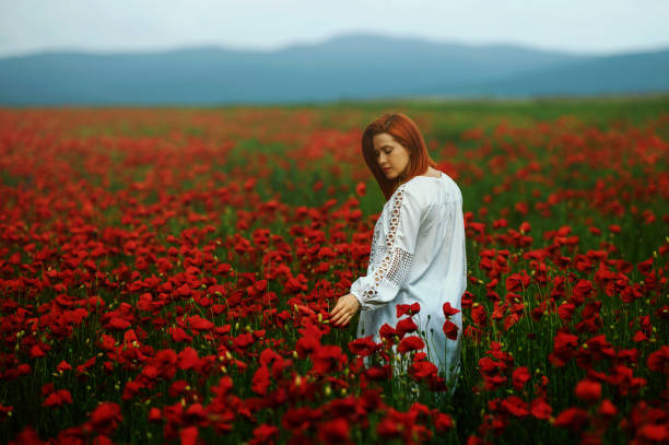 istock Lost in the poopy field 1392691950