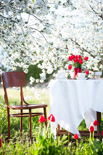 still life - breakfast in the spring garden. table with white tablecloth served for tea drinking