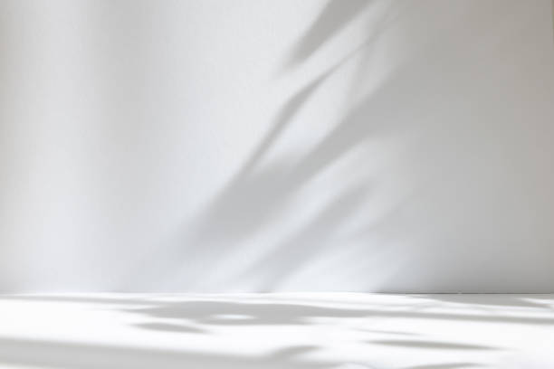istock Abstract white studio background for product presentation. Empty room with shadows of window and flowers and palm leaves . 3d room with copy space. Summer concert. Blurred backdrop. 1392694709