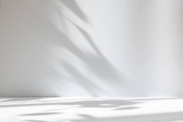 abstrakter weißer studiohintergrund für die produktpräsentation. leerer raum mit schatten von fenstern und blumen und palmblättern. 3d-zimmer mit kopierraum. sommerkonzert. verschwommener hintergrund. - betonwand stock-fotos und bilder