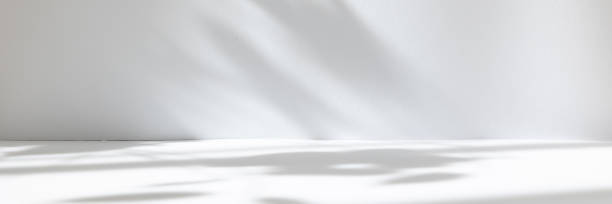 istock Abstract white studio background for product presentation. Empty room with shadows of window and flowers and palm leaves . 3d room with copy space. Summer concert. Blurred backdrop. Banner 1392694723