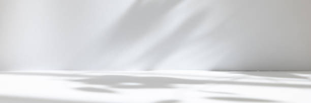 istock Abstract white studio background for product presentation. Empty room with shadows of window and flowers and palm leaves . 3d room with copy space. Summer concert. Blurred backdrop. Banner 1392694724