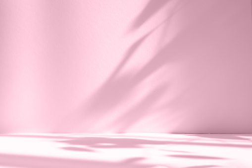 Fondo abstracto de estudio de degradado de color rosa para la presentación del producto. Habitación vacía con sombras de ventana y flores y hojas de palma. Sala 3d con espacio de copia. Concierto de verano. Fondo borroso. photo