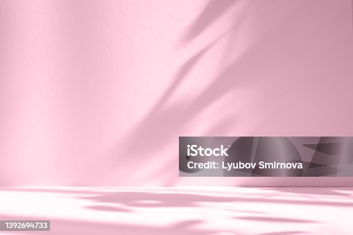 istock Abstract pink color gradient studio background for product presentation. Empty room with shadows of window and flowers and palm leaves . 3d room with copy space. Summer concert. Blurred backdrop. 1392694733
