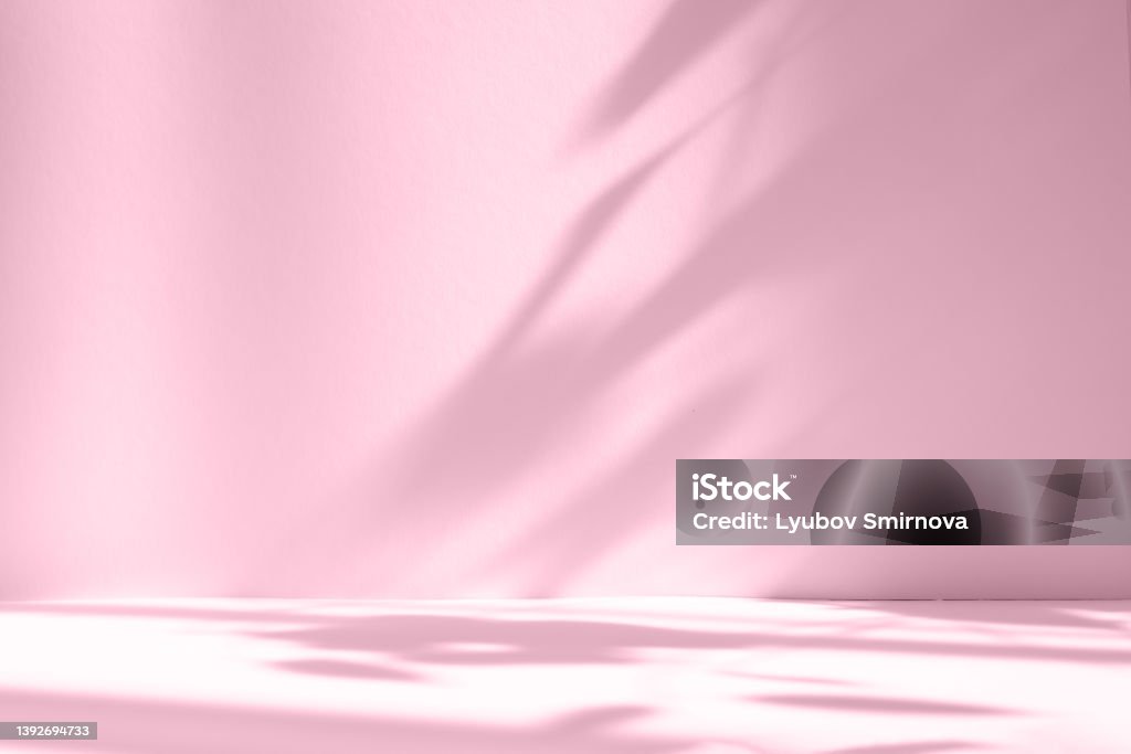 Abstract pink color gradient studio background for product presentation. Empty room with shadows of window and flowers and palm leaves . 3d room with copy space. Summer concert. Blurred backdrop. Backgrounds Stock Photo