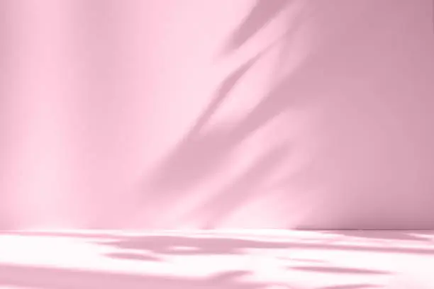 Photo of Abstract pink color gradient studio background for product presentation. Empty room with shadows of window and flowers and palm leaves . 3d room with copy space. Summer concert. Blurred backdrop.